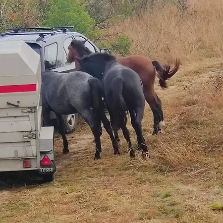 The On The Hill 度假居 *