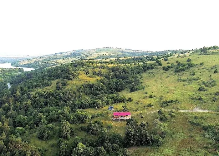 The On The Hill * Bełogradczik