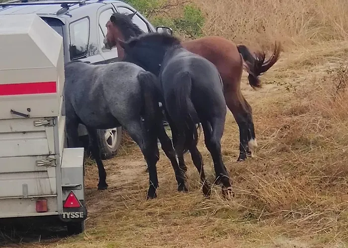 The On The Hill Dom wakacyjny *